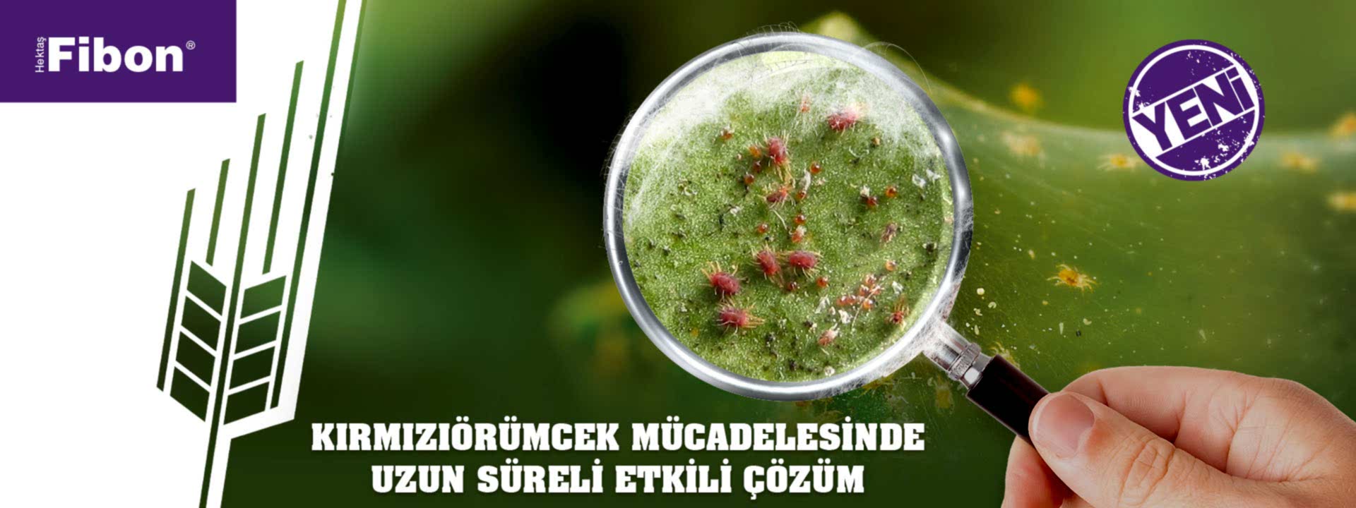 erdeniz eğitim